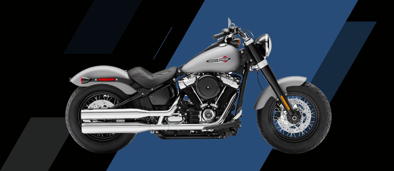 2018 SOFTAIL SLIM OWNERS MANUAL visual data 8