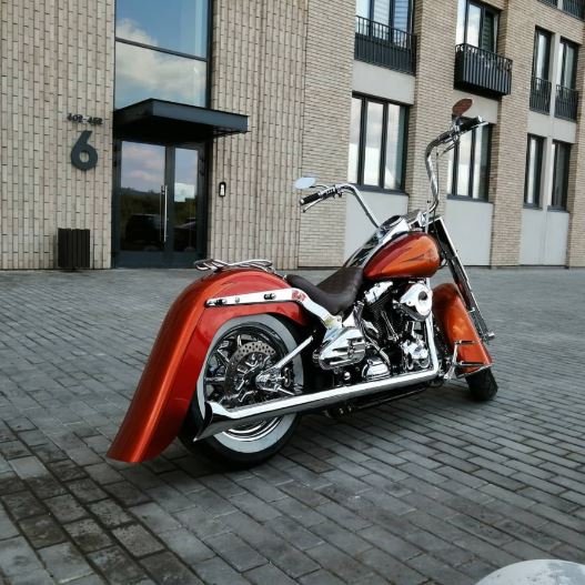 Stylish & Functional: Harley Curved Solo 7